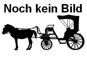KeinBild KeinBild