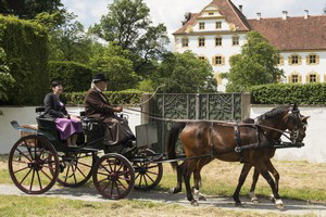 Schenk Schenk