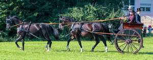 Wohlgemuth1 Wohlgemuth1